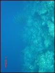 Click on one of the size names above to enlarge this image Click on one of the size names above to enlarge this image