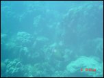 Click on one of the size names above to enlarge this image Click on one of the size names above to enlarge this image