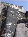 Click on one of the size names above to enlarge this image Click on one of the size names above to enlarge this image