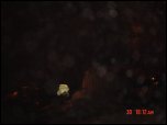 Click on one of the size names above to enlarge this image Click on one of the size names above to enlarge this image