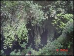 Click on one of the size names above to enlarge this image Click on one of the size names above to enlarge this image