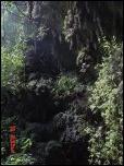 Click on one of the size names above to enlarge this image Click on one of the size names above to enlarge this image