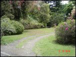 Click on one of the size names above to enlarge this image Click on one of the size names above to enlarge this image