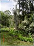 Click on one of the size names above to enlarge this image Click on one of the size names above to enlarge this image