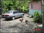 Click on one of the size names above to enlarge this image Click on one of the size names above to enlarge this image