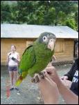 Click on one of the size names above to enlarge this image Click on one of the size names above to enlarge this image