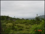 Click on one of the size names above to enlarge this image Click on one of the size names above to enlarge this image