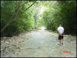 Click on one of the size names above to enlarge this image Click on one of the size names above to enlarge this image