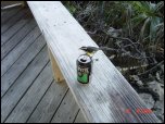 Click on one of the size names above to enlarge this image Click on one of the size names above to enlarge this image