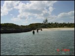 Click on one of the size names above to enlarge this image Click on one of the size names above to enlarge this image