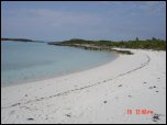 Click on one of the size names above to enlarge this image Click on one of the size names above to enlarge this image