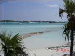 Click on one of the size names above to enlarge this image Click on one of the size names above to enlarge this image