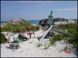 Click on one of the size names above to enlarge this image Click on one of the size names above to enlarge this image