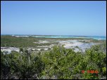 Click on one of the size names above to enlarge this image Click on one of the size names above to enlarge this image