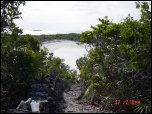 Click on one of the size names above to enlarge this image Click on one of the size names above to enlarge this image