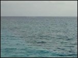 Click on image to play movie Click on image to play movie