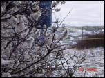 Click on one of the size names above to enlarge this image Click on one of the size names above to enlarge this image