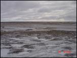 Click on one of the size names above to enlarge this image Click on one of the size names above to enlarge this image