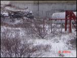 Click on one of the size names above to enlarge this image Click on one of the size names above to enlarge this image