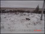 Click on one of the size names above to enlarge this image Click on one of the size names above to enlarge this image