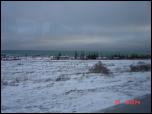 Click on one of the size names above to enlarge this image Click on one of the size names above to enlarge this image