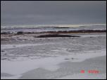 Click on one of the size names above to enlarge this image Click on one of the size names above to enlarge this image