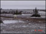 Click on one of the size names above to enlarge this image Click on one of the size names above to enlarge this image