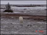 Click on one of the size names above to enlarge this image Click on one of the size names above to enlarge this image