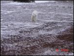 Click on one of the size names above to enlarge this image Click on one of the size names above to enlarge this image