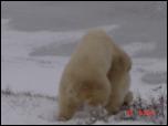 Click on one of the size names above to enlarge this image Click on one of the size names above to enlarge this image
