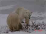 Click on one of the size names above to enlarge this image Click on one of the size names above to enlarge this image