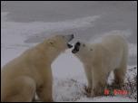 Click on one of the size names above to enlarge this image Click on one of the size names above to enlarge this image