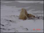 Click on one of the size names above to enlarge this image Click on one of the size names above to enlarge this image