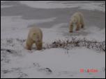 Click on one of the size names above to enlarge this image Click on one of the size names above to enlarge this image