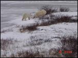 Click on one of the size names above to enlarge this image Click on one of the size names above to enlarge this image