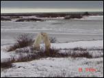 Click on one of the size names above to enlarge this image Click on one of the size names above to enlarge this image