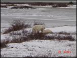 Click on one of the size names above to enlarge this image Click on one of the size names above to enlarge this image