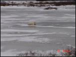 Click on one of the size names above to enlarge this image Click on one of the size names above to enlarge this image