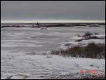 Click on one of the size names above to enlarge this image Click on one of the size names above to enlarge this image