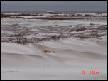 Click on one of the size names above to enlarge this image Click on one of the size names above to enlarge this image