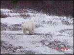 Click on one of the size names above to enlarge this image Click on one of the size names above to enlarge this image