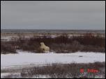 Click on one of the size names above to enlarge this image Click on one of the size names above to enlarge this image