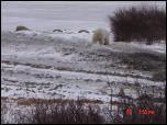 Click on one of the size names above to enlarge this image Click on one of the size names above to enlarge this image