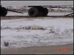 Click on one of the size names above to enlarge this image Click on one of the size names above to enlarge this image
