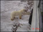 Click on one of the size names above to enlarge this image Click on one of the size names above to enlarge this image