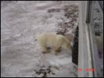 Click on one of the size names above to enlarge this image Click on one of the size names above to enlarge this image