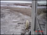 Click on one of the size names above to enlarge this image Click on one of the size names above to enlarge this image