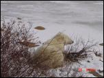 Click on one of the size names above to enlarge this image Click on one of the size names above to enlarge this image