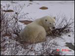 Click on one of the size names above to enlarge this image Click on one of the size names above to enlarge this image
