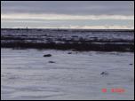 Click on one of the size names above to enlarge this image Click on one of the size names above to enlarge this image
